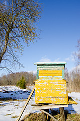 Image showing Bee hive home in spring garden melt snow and sky 