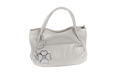 Image showing grey women bag