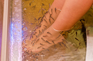 Image showing Fish spa pedicure