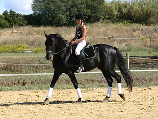 Image showing horse and woman in dressage