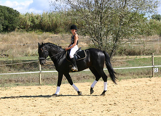 Image showing horse and woman in dressage