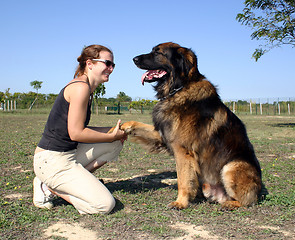 Image showing woman and leonberger