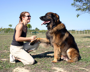 Image showing woman and leonberger