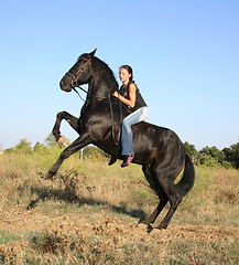 Image showing rearing horse