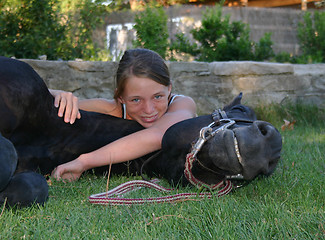 Image showing horse laid down and riding girl