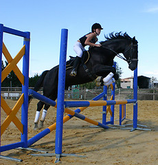 Image showing jumping horse