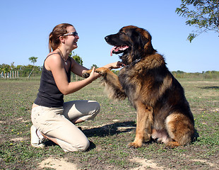 Image showing woman and leonberger
