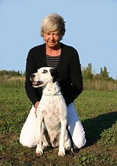 Image showing jack russel terrier