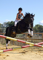 Image showing jumping horse