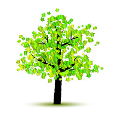 Image showing green tree