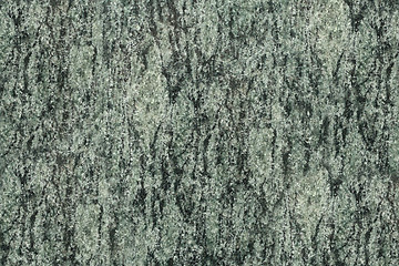 Image showing Green granite