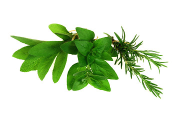 Image showing Herbs