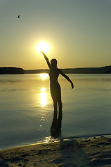 Image showing girl, sun, sea  and bird