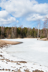 Image showing Landscape at the forest lake early spring 