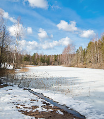 Image showing Landscape at the forest lake early spring 