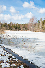 Image showing Landscape at the forest lake early spring 