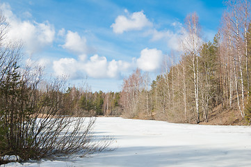 Image showing Landscape at the forest lake early spring 