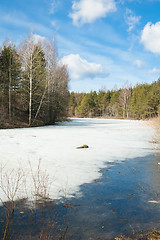 Image showing Landscape at the forest lake early spring 