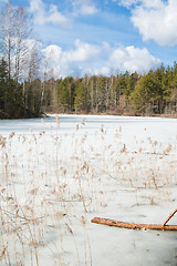 Image showing Landscape at the forest lake early spring 