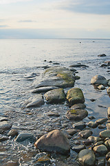 Image showing Stony coast of Baltic sea