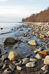 Image showing Stony coast of Baltic sea