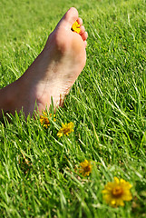 Image showing Foot and Flowers