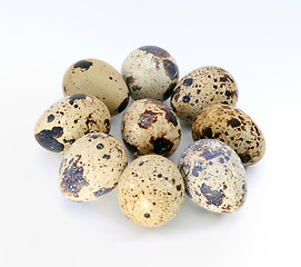 Image showing Quail eggs