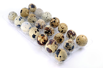 Image showing Quail eggs