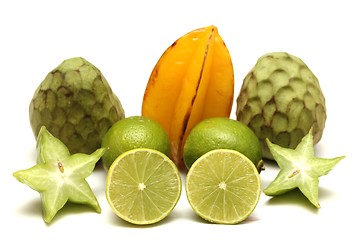 Image showing exotic fruits