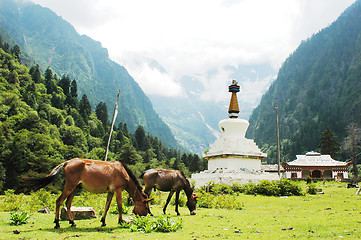 Image showing Landscape in Shangrila