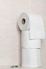 Image showing Toilet rolls