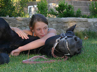 Image showing horse laid down and riding girl