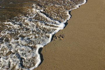 Image showing spume