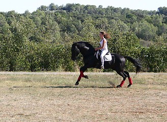 Image showing young woman and horse