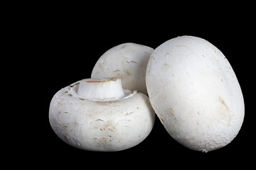 Image showing Three mushrooms