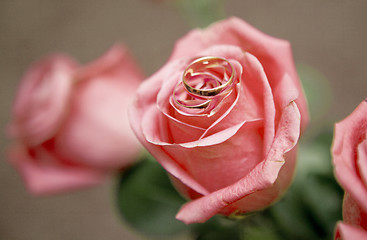 Image showing Roses and rings on it