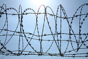 Image showing barbed wire against blue sky 