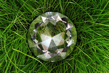 Image showing clear diamond in the green grass 