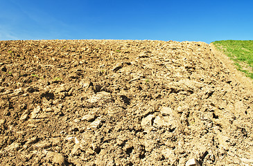 Image showing acre with blue sky