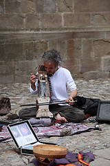 Image showing Sarangi player