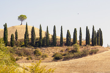 Image showing Panoramic views of the Tuscan-Emilian Apennines