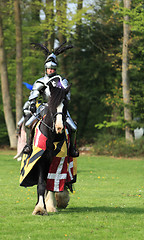 Image showing Knight