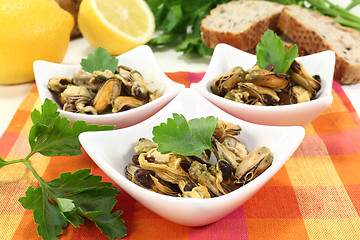 Image showing Mussels