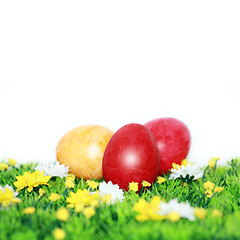 Image showing Easter eggs on a flower meadow