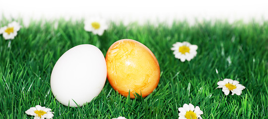Image showing A yellow and a white egg