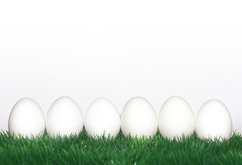 Image showing White eggs