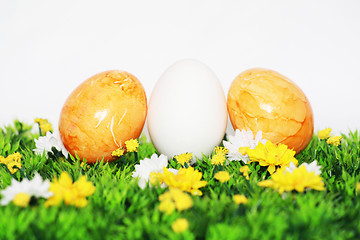 Image showing beautiful Easter Eggs