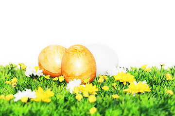 Image showing Yellow-painted Easter eggs