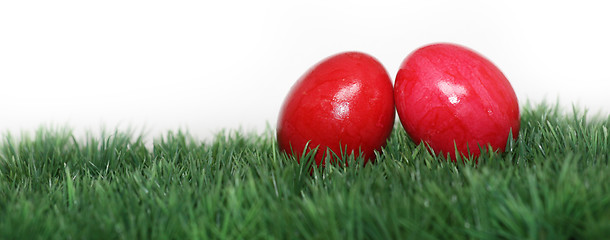 Image showing Red eggs hidden in the grass