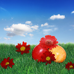 Image showing Easter eggs, flowers and meadow